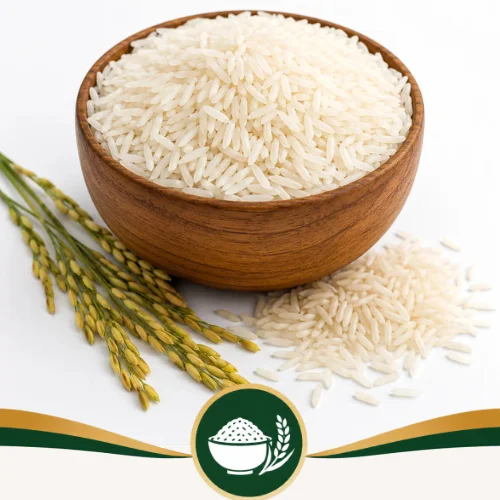 Rice