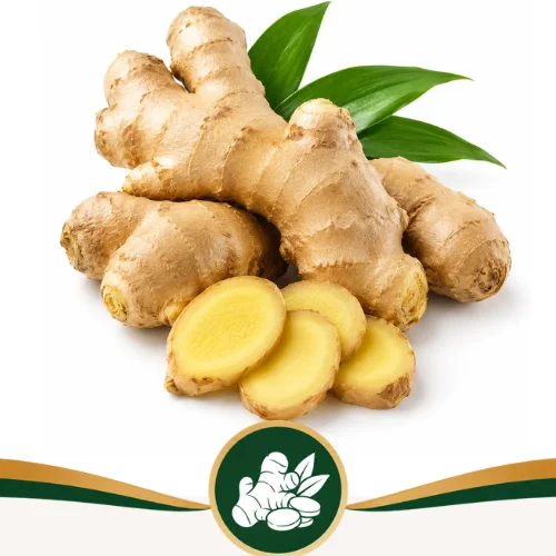 Ginger